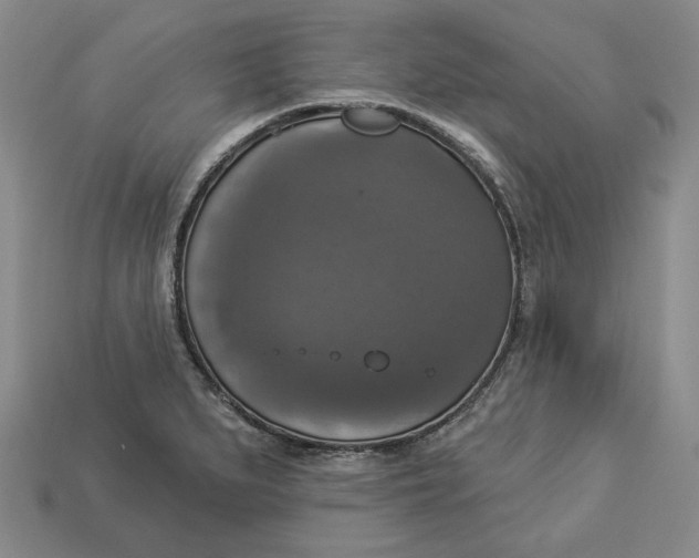 X0000112911279200909141243