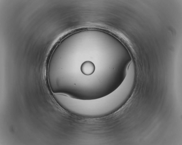 X0000112911280200909141243