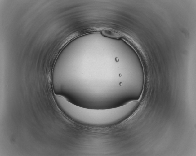 X0000112911281200909141243