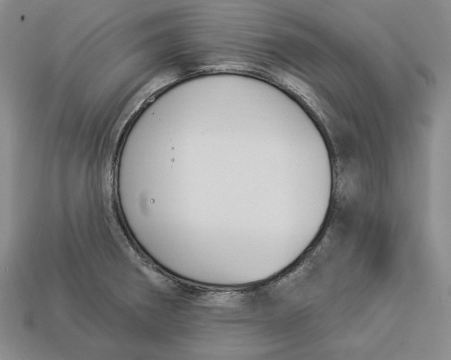 X0000112911282200909141243