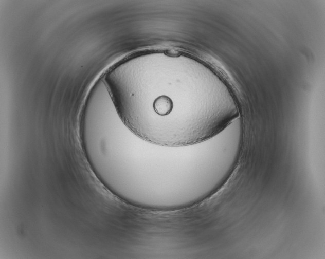 X0000112911284200909141243