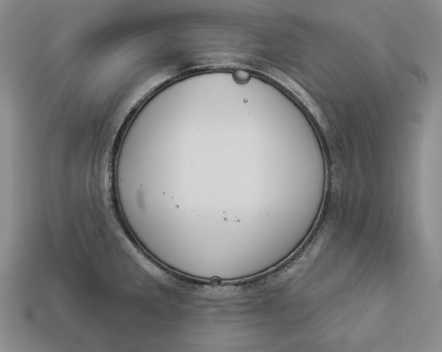 X0000112911285200909141243