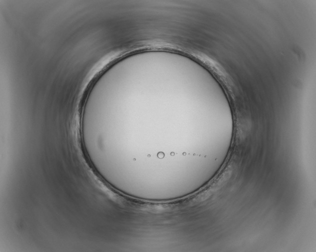 X0000112911286200909141243