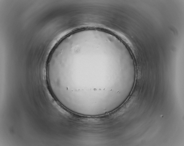 X0000112911287200909141243