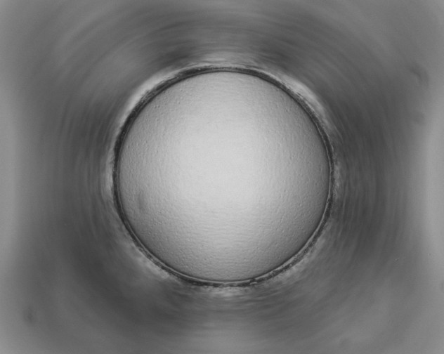 X0000112911288200909141243