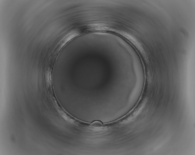 X0000112911289200909141243