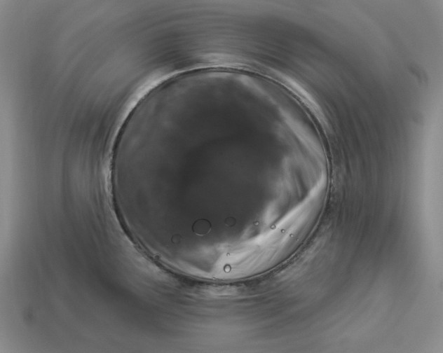 X0000112911291200909141243