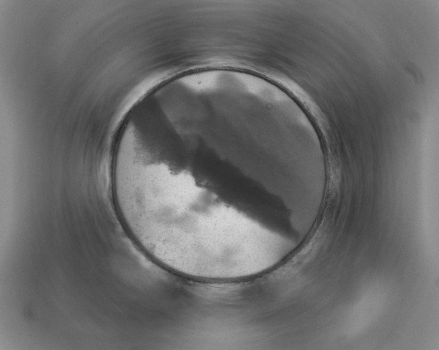 X0000112911294200909141243