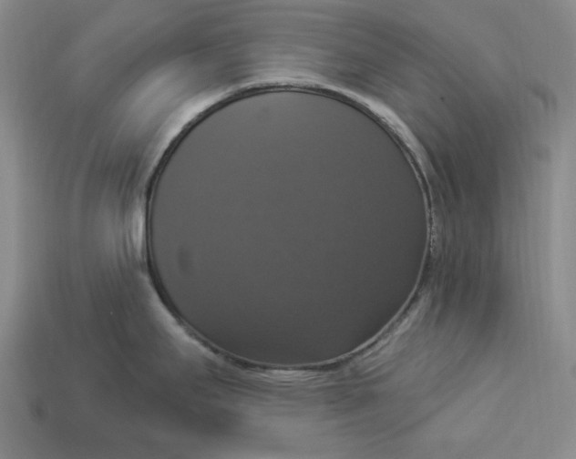 X0000112911295200909141243