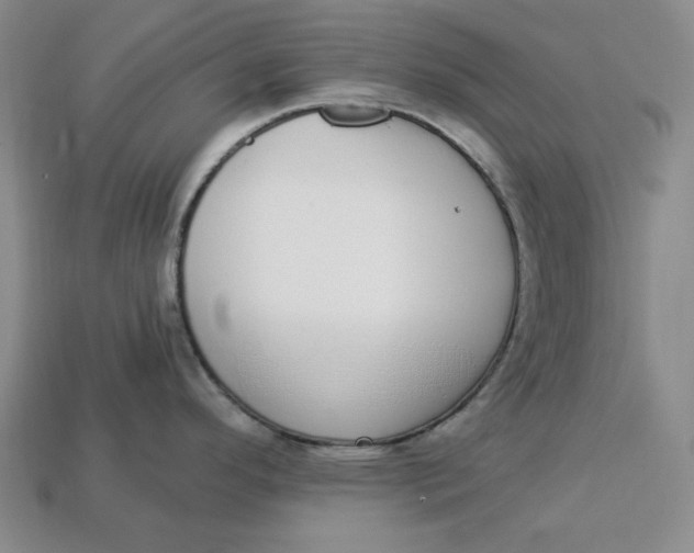 X0000112911296200909141243