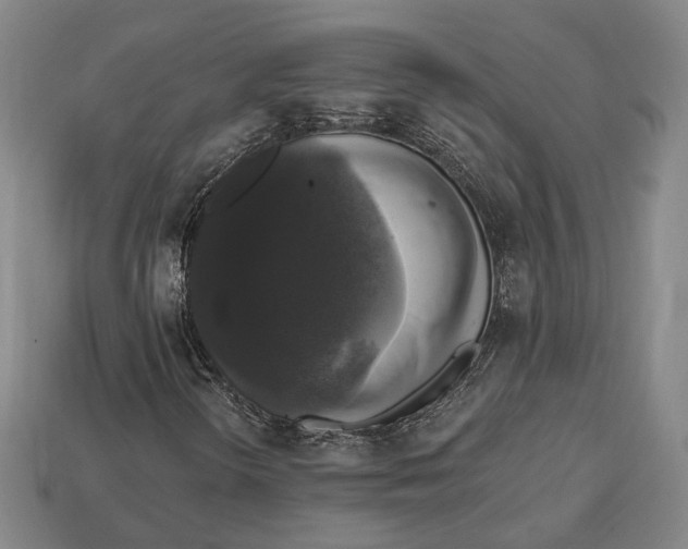 X0000112911298200909141242