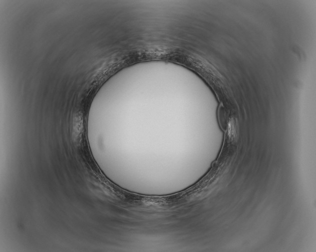 X0000112911299200909141242