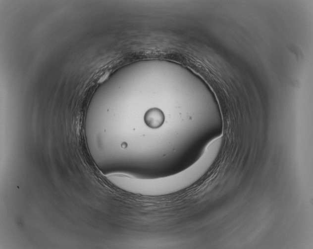 X0000112911300200909141242