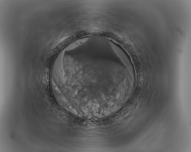 X0000112911301200909141242