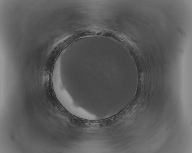 X0000112911302200909141242