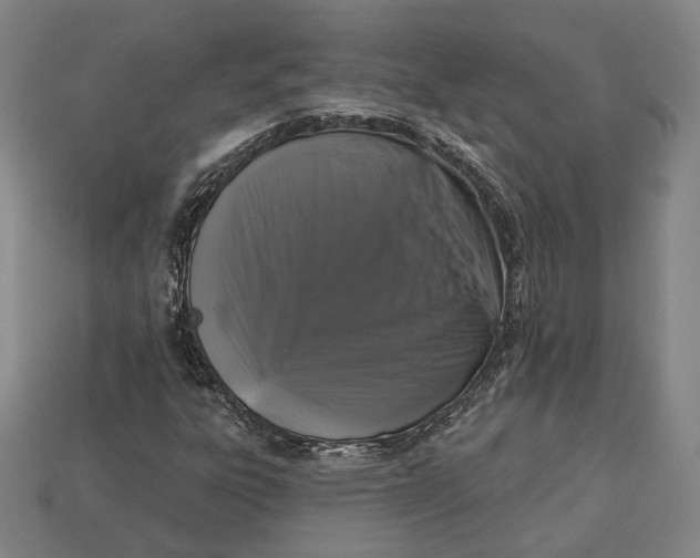 X0000112911303200909141242