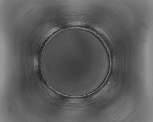 X0000112911305200909141242