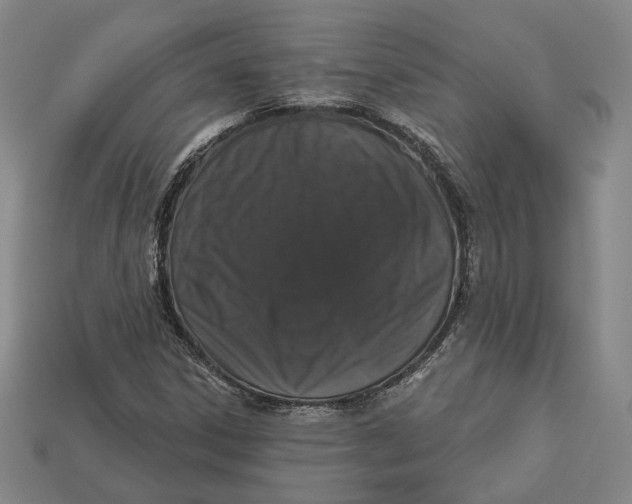 X0000112911306200909141242