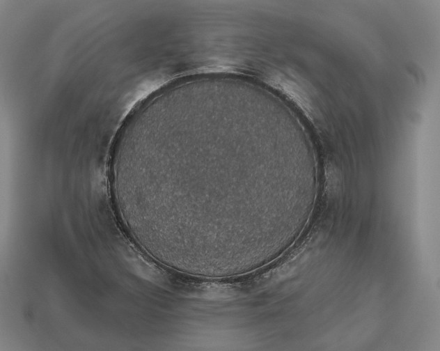 X0000112911308200909141242