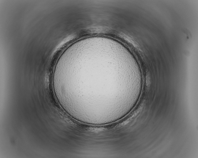 X0000112911309200909141242