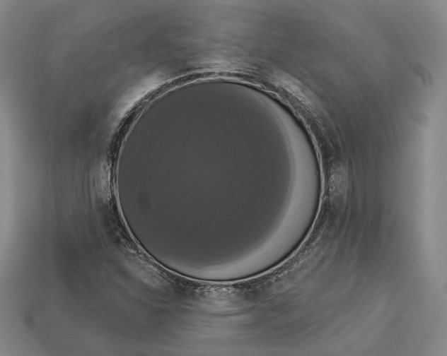 X0000112911310200909141242