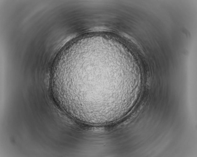 X0000112911313200909141242