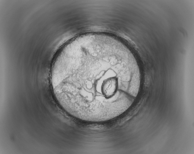 X0000112911314200909141242