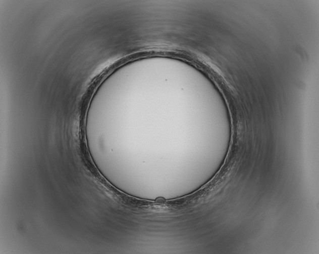 X0000112911315200909141242