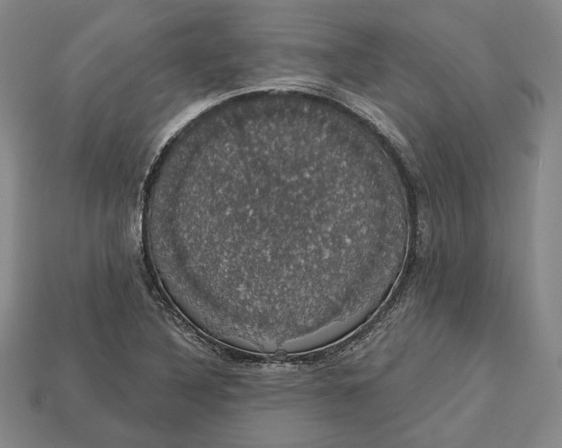 X0000112911316200909141242