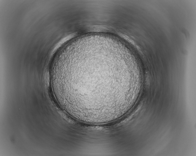 X0000112911317200909141242