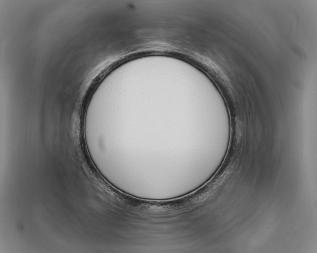 X0000112911318200909141242