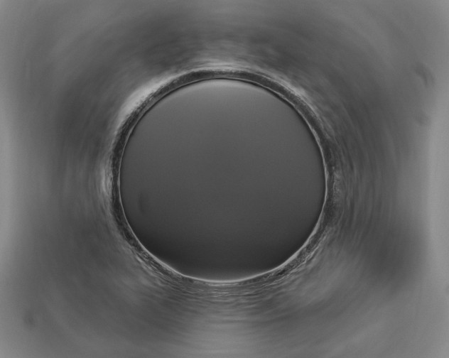 X0000112911319200909141242