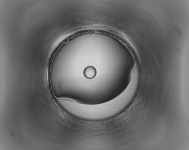 X0000112911320200909141242