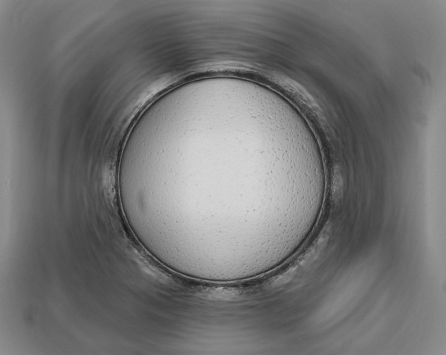 X0000112911321200909141242