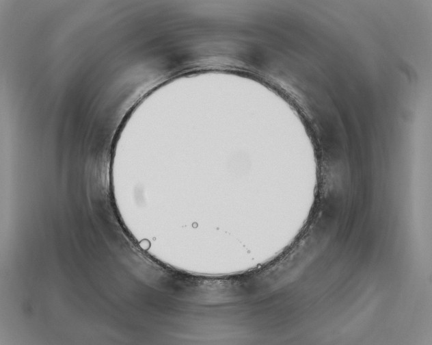 X0000112911322200909141242