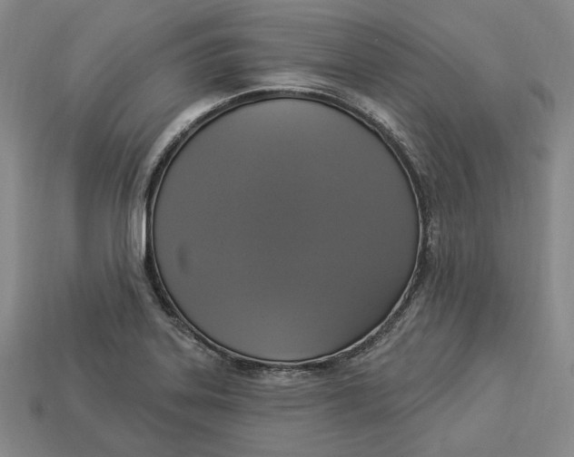 X0000112911323200909141243