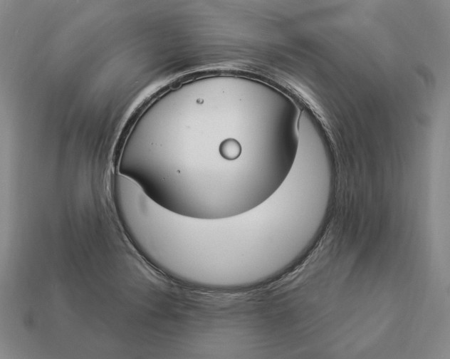 X0000112911324200909141243