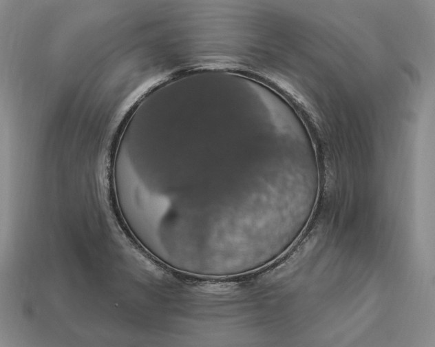 X0000112911325200909141243