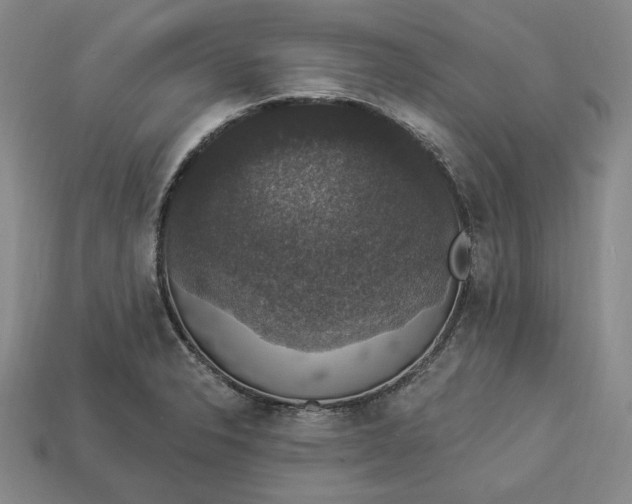 X0000112911326200909141243