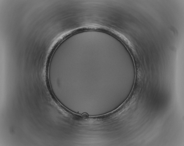 X0000112911327200909141243