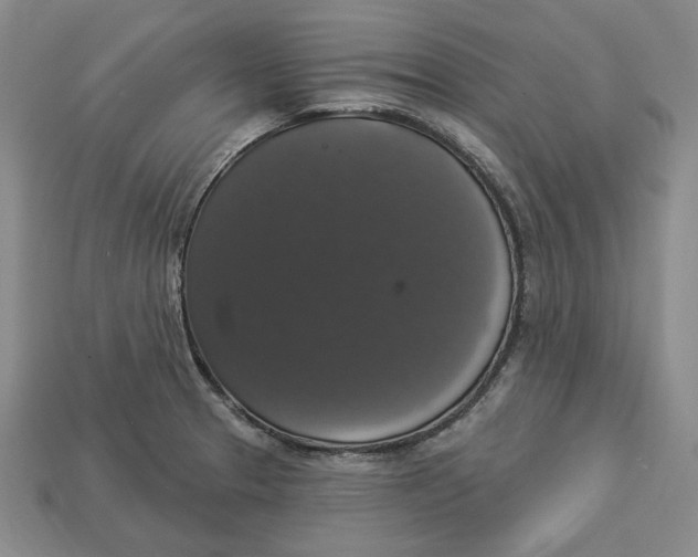 X0000112911329200909141243