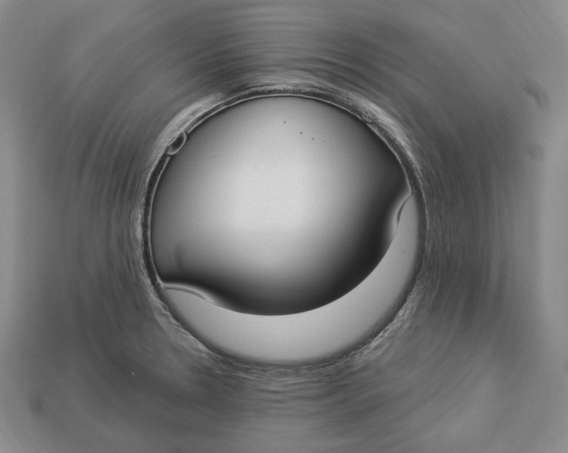 X0000112911330200909141243