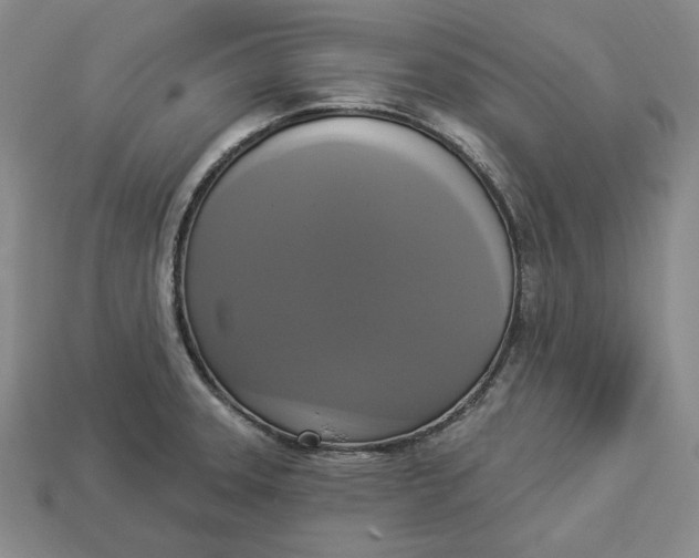 X0000112911331200909141243