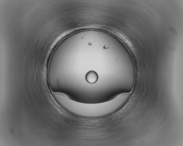 X0000112911332200909141243