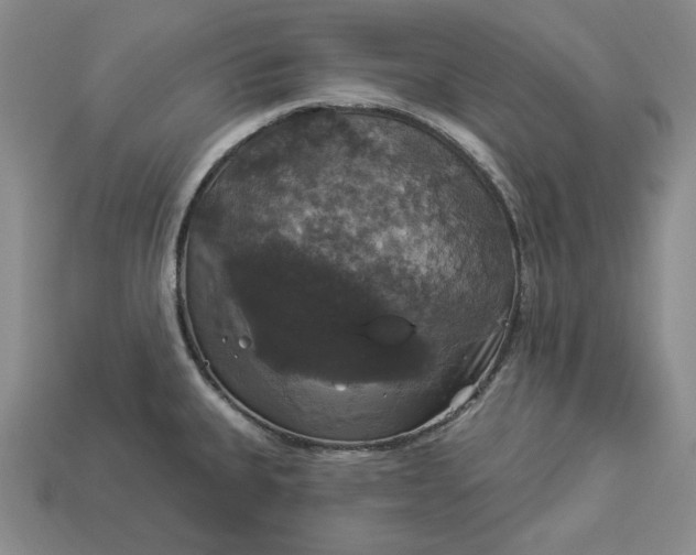 X0000112911335200909141243