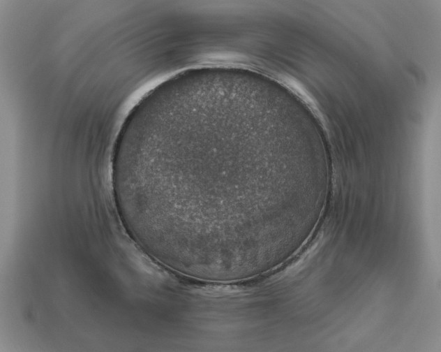 X0000112911336200909141243