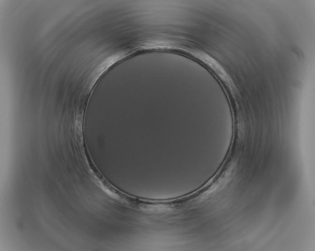 X0000112911337200909141243