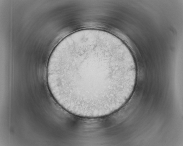 X0000112911338200909141243