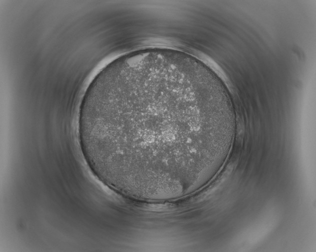 X0000112911339200909141243