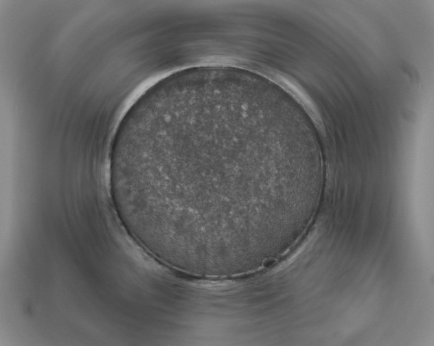 X0000112911340200909141243